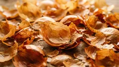 Sipulinkuoret kaupasta ostettujen tuotteiden sijaan: miten niitä käytetään puutarhassa