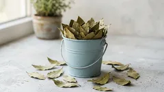 Vain muutama lehti tätä mausteita – ja kodin ilma tuntuu raikkaammalta ja puhtaammalta